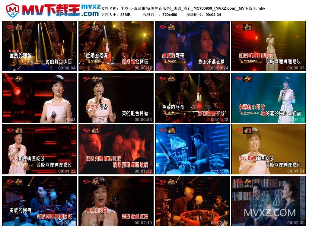 李玲玉-山寨相亲(围炉音乐会)_国语_流行_MC700959